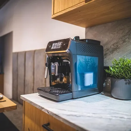 公寓 Alpine Essence Luxury In Zell Am Center 滨湖采尔